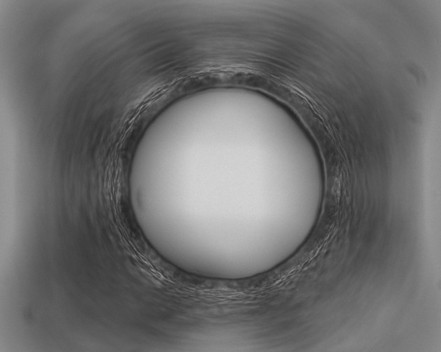X0000113301014200909140941