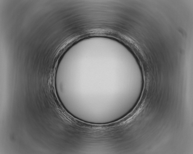 X0000113301017200909140941