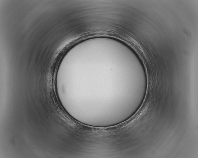 X0000113301019200909140941