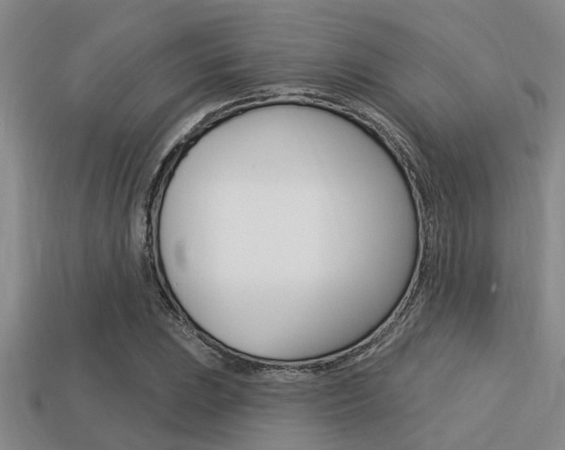 X0000113301023200909140941