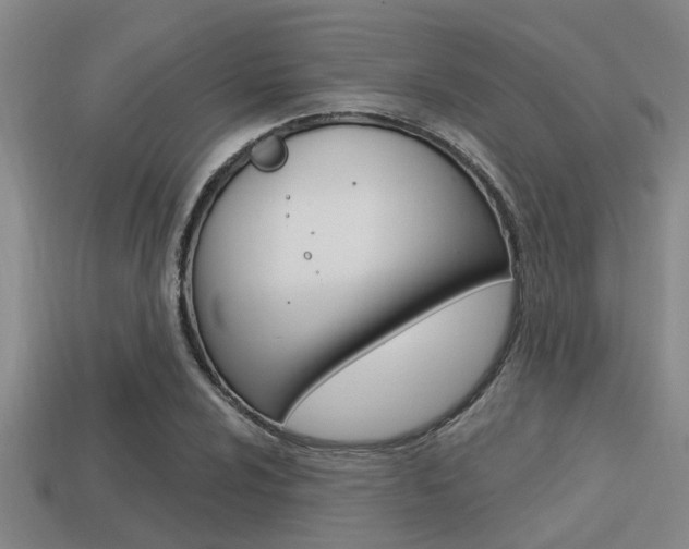 X0000113301024200909140941