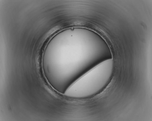 X0000113301026200909140941