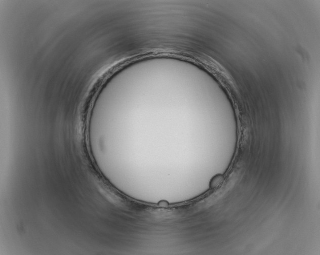 X0000113301027200909140941