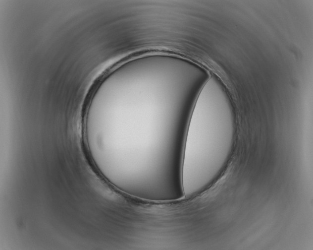 X0000113301028200909140941
