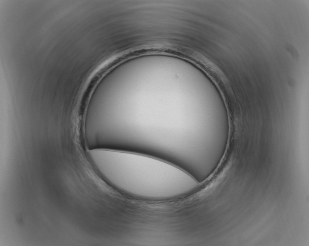 X0000113301029200909140941