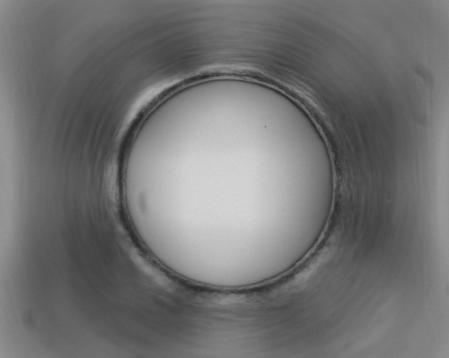 X0000113301030200909140941