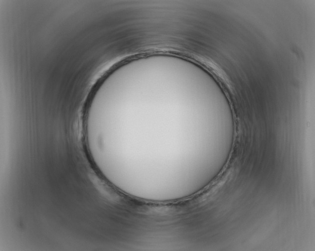X0000113301031200909140941