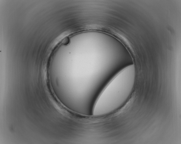 X0000113301034200909140941