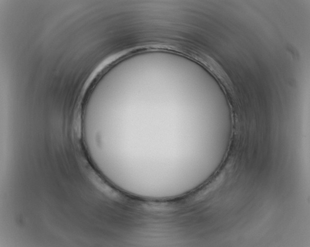 X0000113301036200909140941