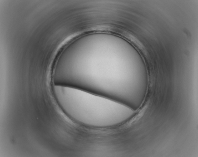 X0000113301037200909140941
