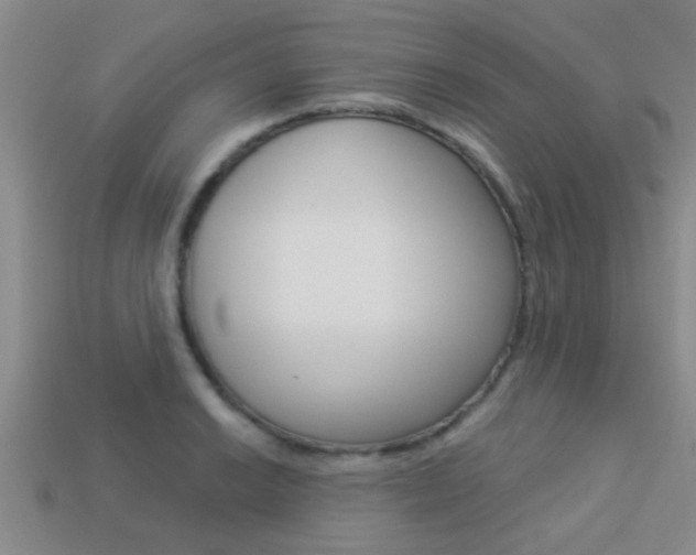 X0000113301038200909140941