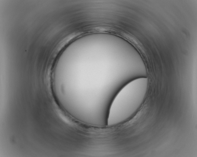 X0000113301039200909140941