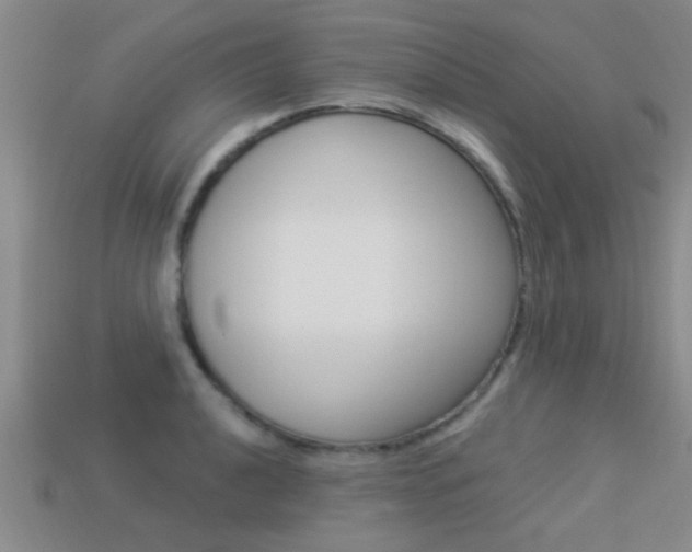X0000113301040200909140941