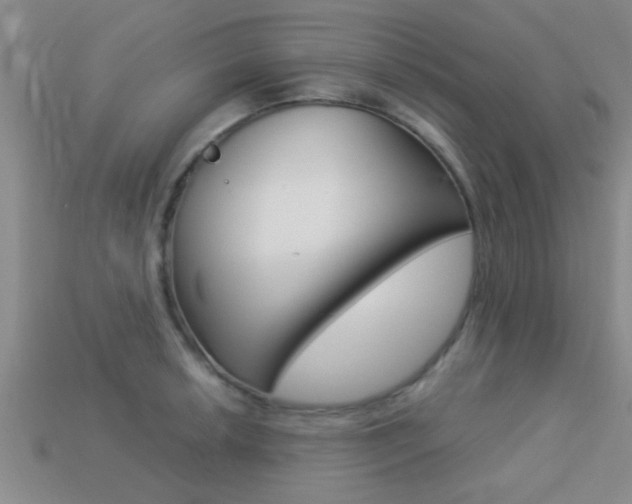 X0000113301042200909140941