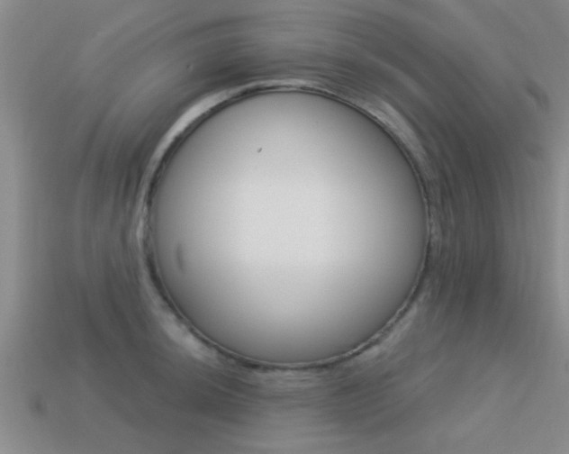 X0000113301044200909140941