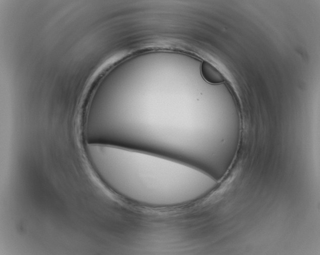 X0000113301045200909140941