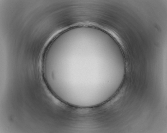 X0000113301046200909140941