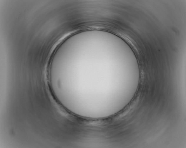 X0000113301047200909140941