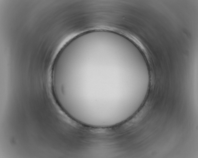 X0000113301048200909140941