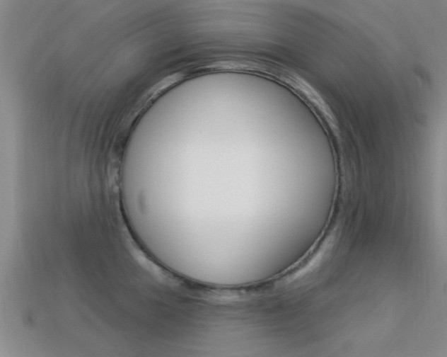 X0000113301049200909140941