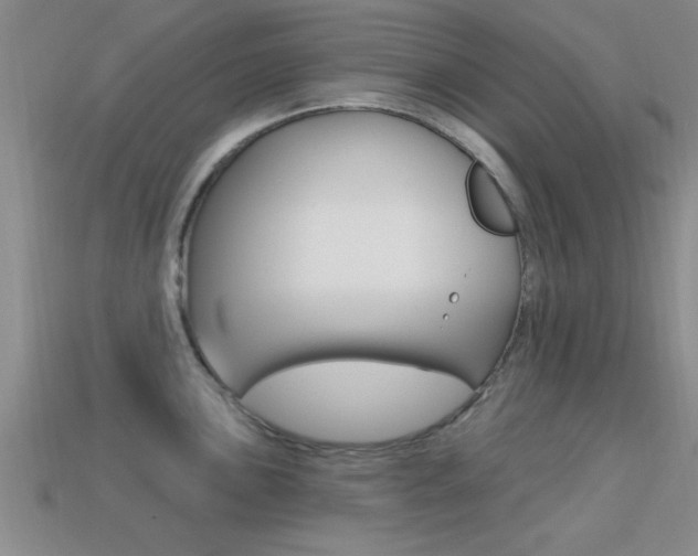 X0000113301051200909140941