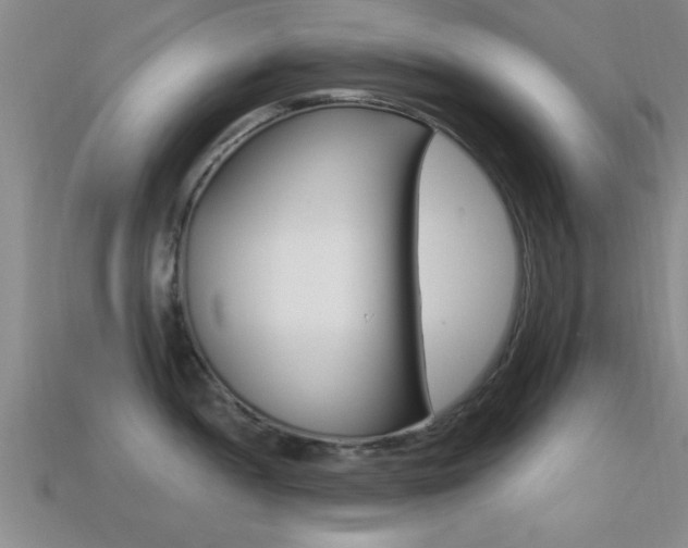 X0000113301052200909140941