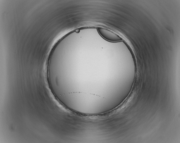 X0000113301053200909140941