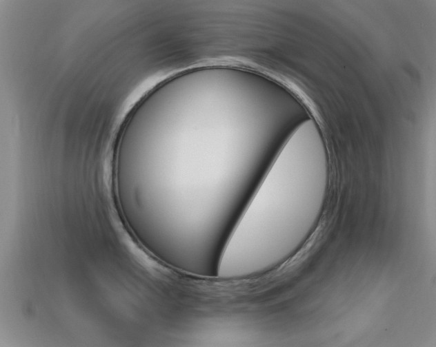X0000113301054200909140941