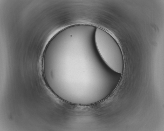 X0000113301056200909140941