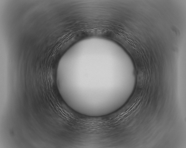 X0000113301058200909140941
