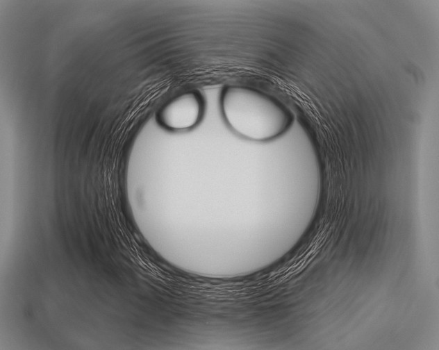 X0000113301060200909140941