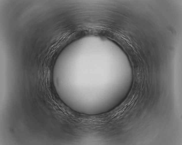X0000113301061200909140941