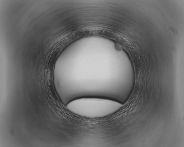 X0000113301062200909140941