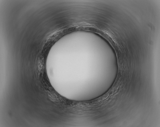 X0000113301063200909140941