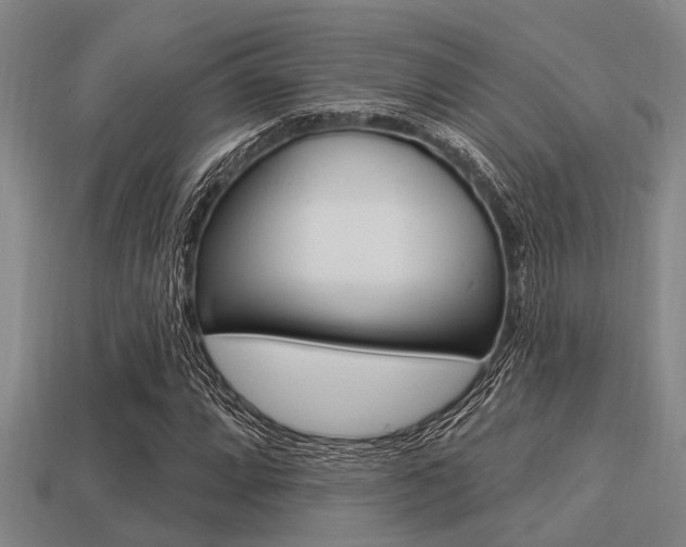 X0000113301064200909140941