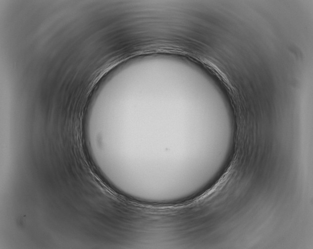 X0000113301065200909140941