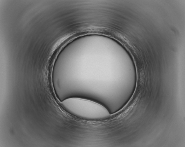 X0000113301066200909140941