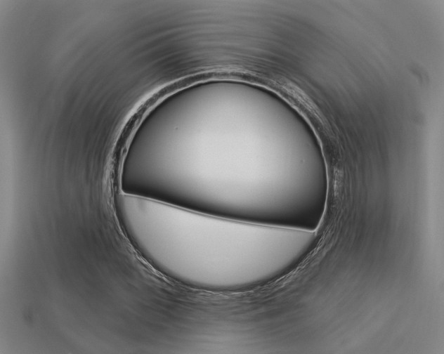 X0000113301068200909140941