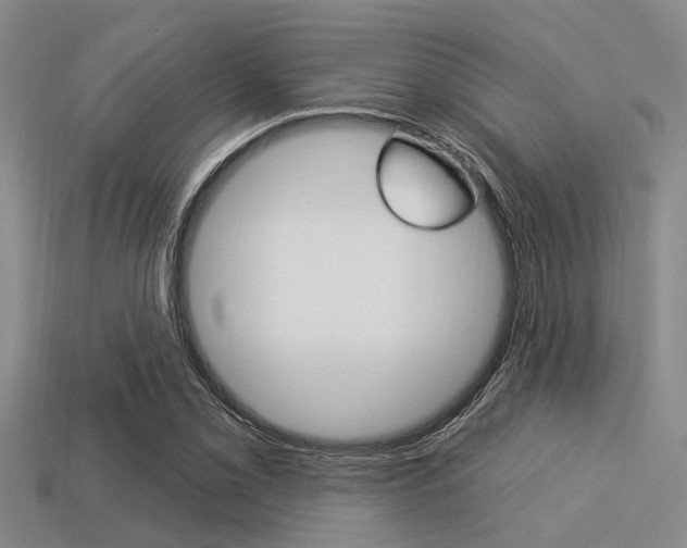 X0000113301069200909140941