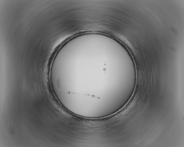 X0000113301071200909140941