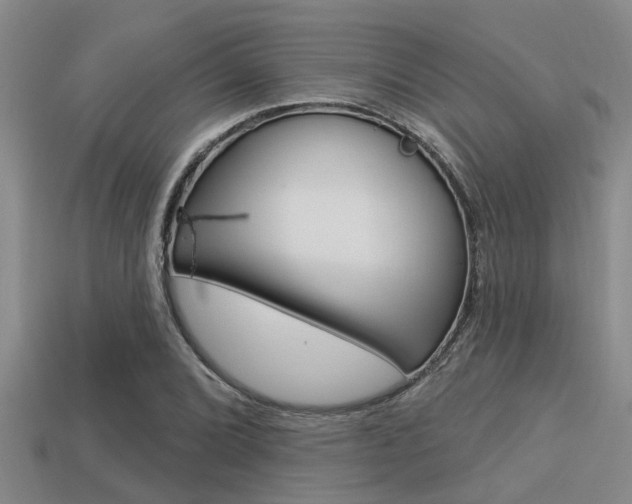 X0000113301072200909140941