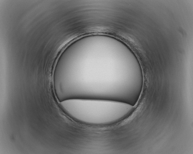 X0000113301073200909140941