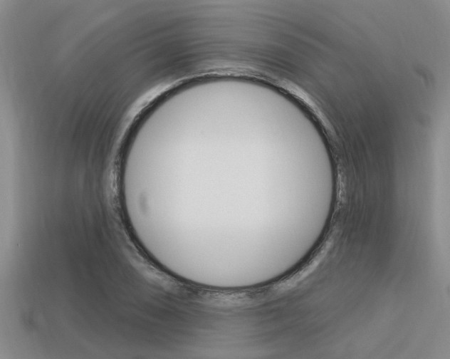 X0000113301074200909140941