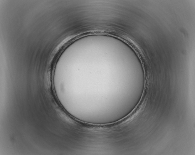 X0000113301075200909140941