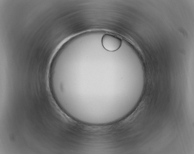X0000113301076200909140940