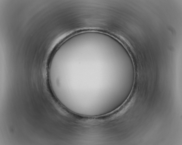 X0000113301077200909140940