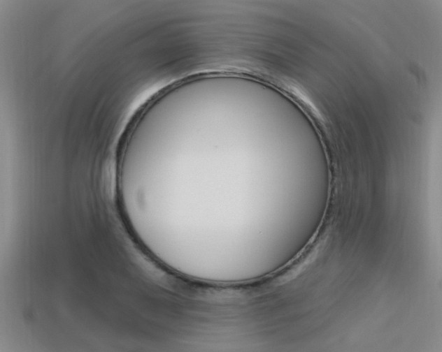 X0000113301079200909140940