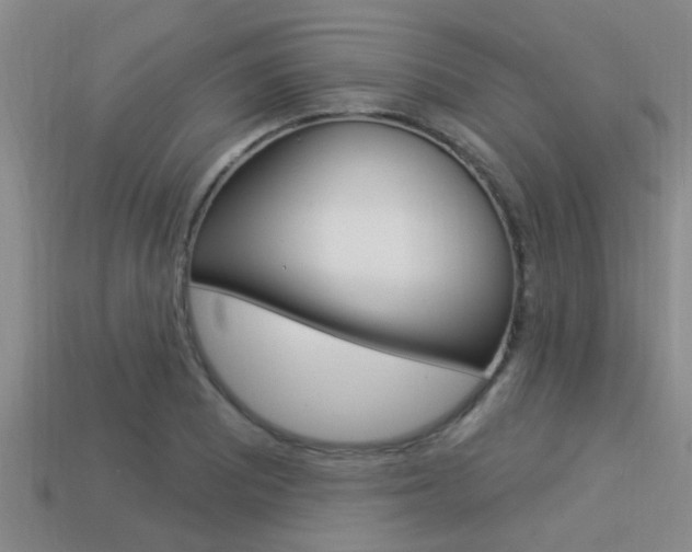 X0000113301081200909140940