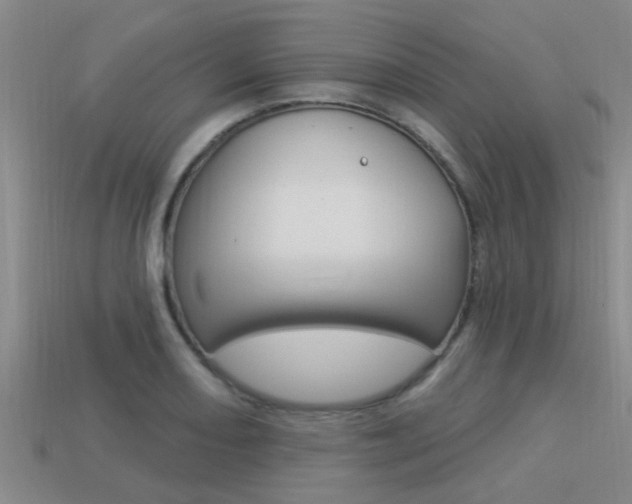 X0000113301082200909140940
