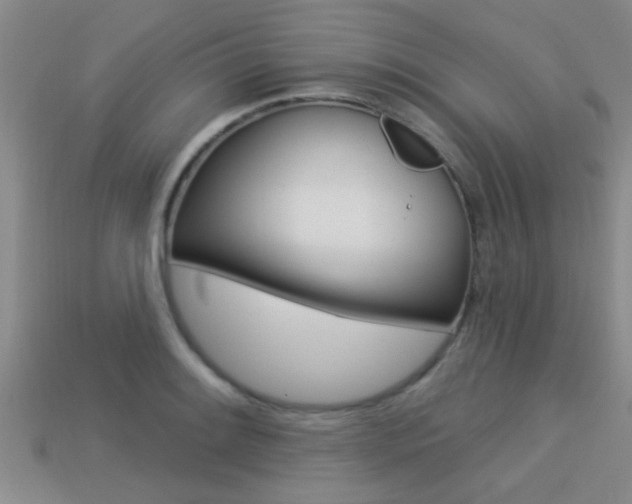 X0000113301084200909140940